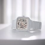 Rado-Premium Automatic